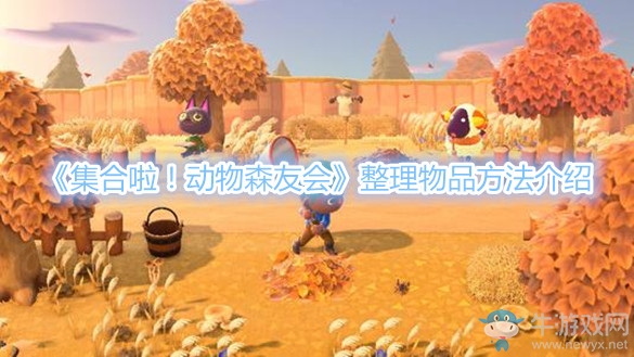《集合啦！動(dòng)物森友會(huì)》整理物品方法介紹