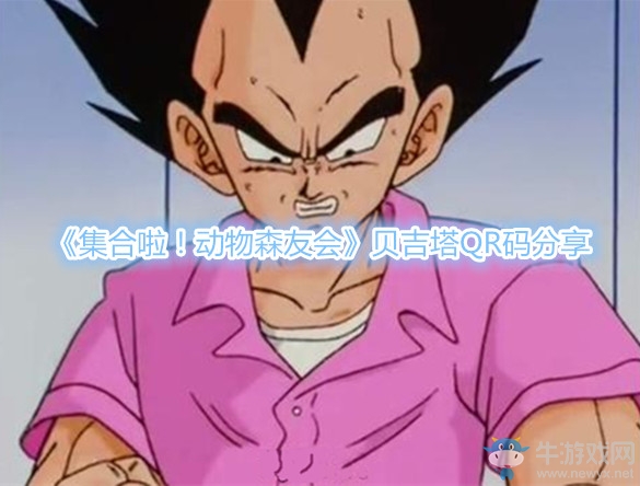 《集合啦！動物森友會》貝吉塔QR碼分享