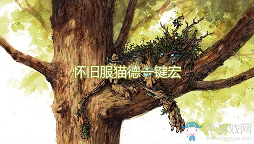 《魔獸世界懷舊服》貓德一鍵宏