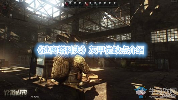 《逃離塔科夫》灰甲優(yōu)缺點介紹
