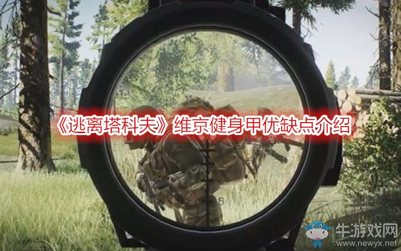 《逃離塔科夫》維京健身甲優(yōu)缺點介紹