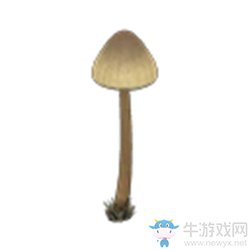 《集合啦！動物森友會》蘑菇燈介紹
