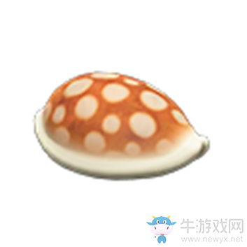 《集合啦！動物森友會》貝殼凳子介紹