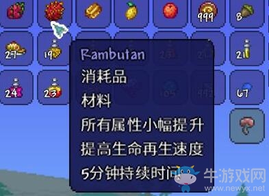 《泰拉瑞亞》1.4新物品紅毛丹介紹