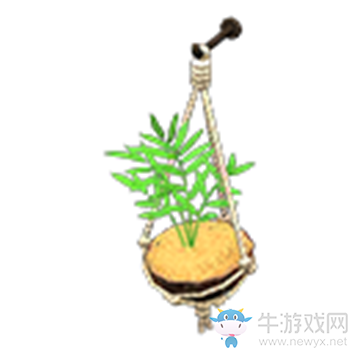 《集合啦！動(dòng)物森友會(huì)》椰子壁掛盆栽介紹
