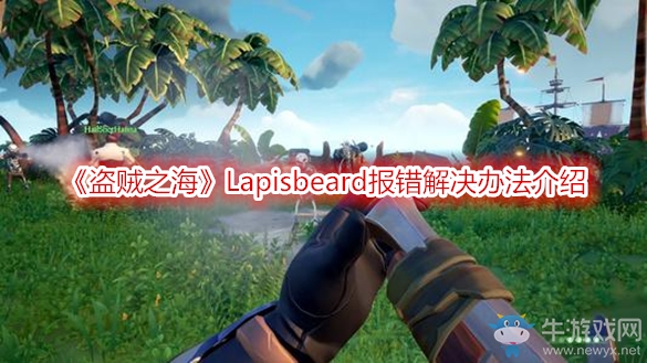 《盜賊之?！稬apisbeard報(bào)錯(cuò)解決辦法介紹
