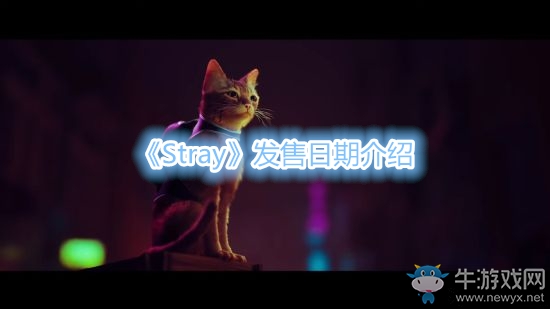 《Stray》發(fā)售日期介紹