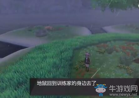 《寶可夢：劍/盾》鎧島蜂巢島地鼠位置介紹