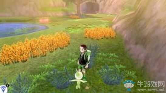 《寶可夢：劍/盾》鎧島清涼濕原地鼠位置介紹