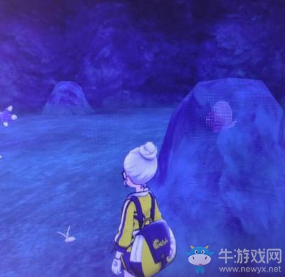《寶可夢：劍/盾》鎧島斗志洞窟海地鼠位置介紹