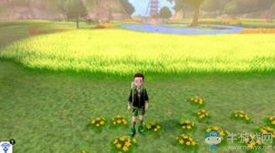 《寶可夢：劍/盾》鎧島清涼濕原地鼠位置介紹