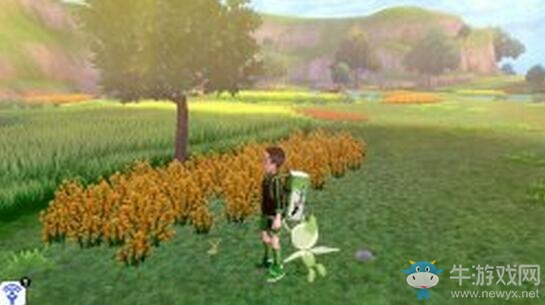 《寶可夢：劍/盾》鎧島清涼濕原地鼠位置介紹