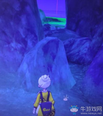 《寶可夢：劍/盾》鎧島斗志洞窟海地鼠位置介紹