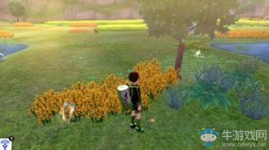 《寶可夢：劍/盾》鎧島清涼濕原地鼠位置介紹