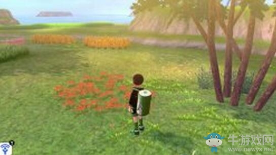 《寶可夢：劍/盾》鎧島清涼濕原地鼠位置介紹