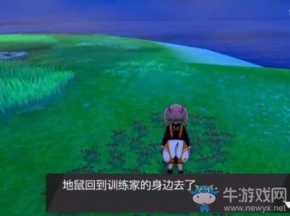 《寶可夢(mèng)：劍/盾》鎧島離島地鼠位置介紹