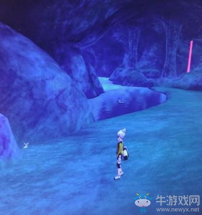 《寶可夢：劍/盾》鎧島斗志洞窟海地鼠位置介紹