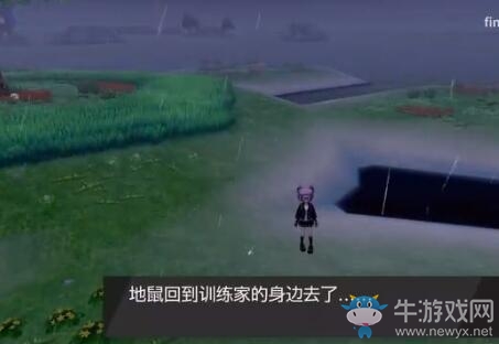 《寶可夢：劍/盾》鎧島蜂巢島地鼠位置介紹