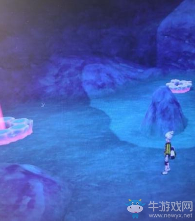 《寶可夢：劍/盾》鎧島斗志洞窟海地鼠位置介紹