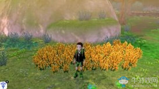 《寶可夢：劍/盾》鎧島清涼濕原地鼠位置介紹