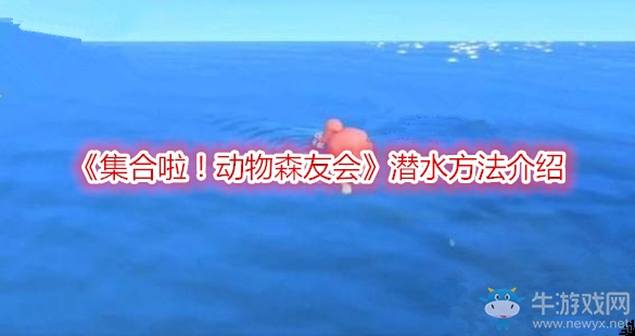《集合啦！動(dòng)物森友會(huì)》潛水方法介紹