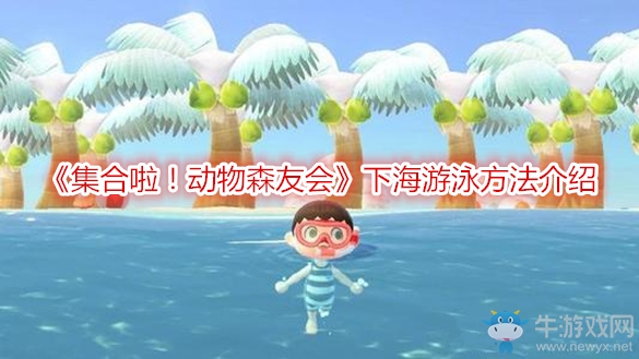 《集合啦！動(dòng)物森友會(huì)》下海游泳方法介紹