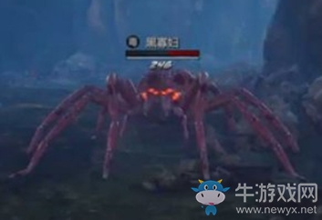 《紫塞秋風(fēng)》黑寡婦王介紹