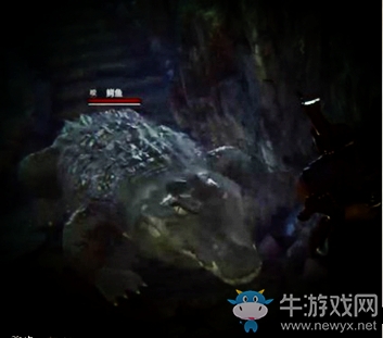《紫塞秋風》恐鱷介紹