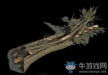 《對(duì)馬島之魂》紫衫木介紹