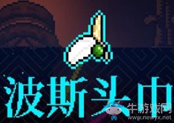 《霓虹深淵》波斯頭巾介紹
