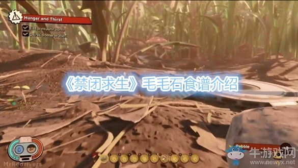 《禁閉求生》毛毛石食譜介紹