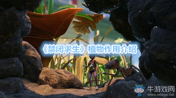 《禁閉求生》植物作用介紹