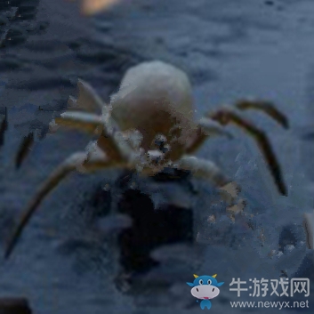 《禁閉求生》蜘蛛幼體介紹