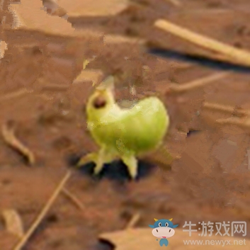 《禁閉求生》蚜蟲介紹