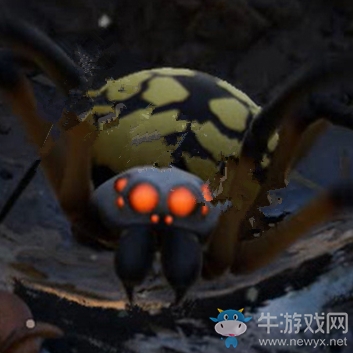 《禁閉求生》圓蛛介紹