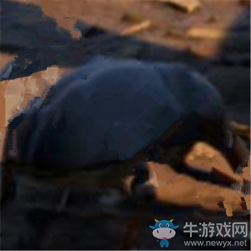 《禁閉求生》象鼻蟲介紹