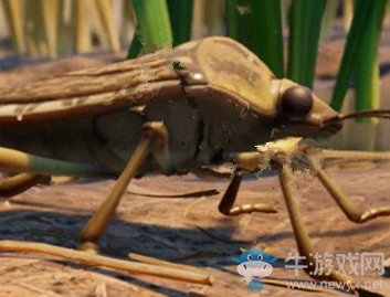 《禁閉求生》臭蟲介紹