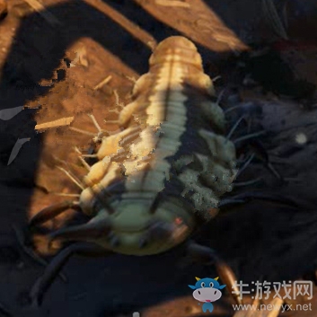 《禁閉求生》幼蟲介紹