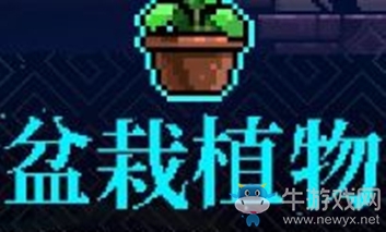 《霓虹深淵》盆栽植物介紹