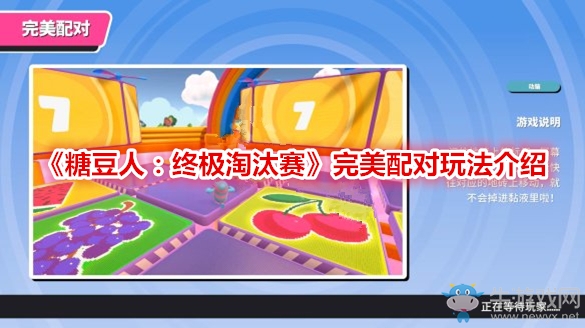 《糖豆人：終極淘汰賽》完美配對玩法介紹