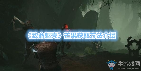 《致命軀殼》芒果獲取方法介紹