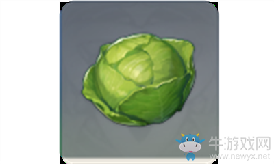 《原神》卷心菜介紹