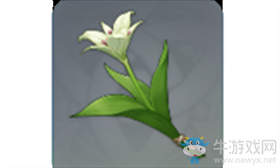 《原神》塞西莉亞花介紹