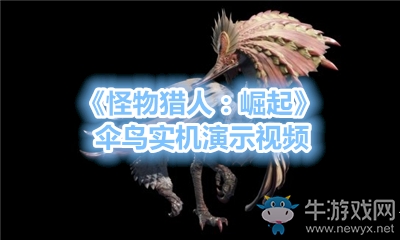 《怪物獵人：崛起》傘鳥(niǎo)實(shí)機(jī)演示視頻