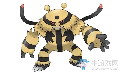 《精靈寶可夢：劍/盾》電擊魔獸介紹