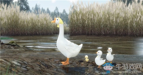 《逆水寒》大白鵝寵物花喜介紹