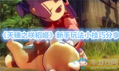 《天穗之咲稻姬》新手玩法小技巧分享