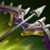 《LOL》S11季前賽版本裝備大全