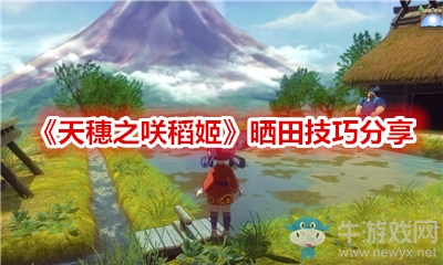 《天穗之咲稻姬》曬田技巧分享