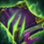 《LOL》S11季前賽版本裝備大全